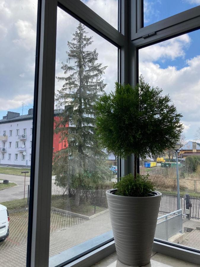 Apartament Miodowa 9 Zwierzyniec Εξωτερικό φωτογραφία